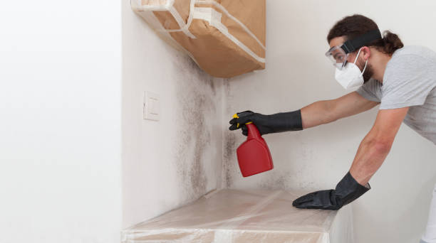 Professional Bathroom Mold Removal technician working in North Port, FL
