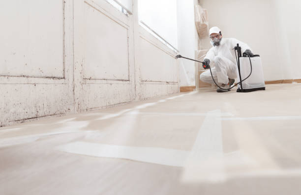 24/7 Emergency Bathroom Mold Removal experts in North Port, FL